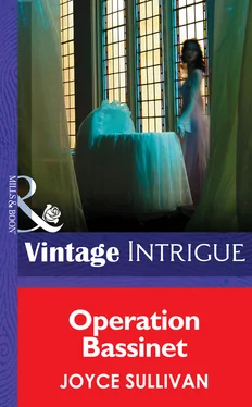 Joyce Sullivan Operation Bassinet обложка книги