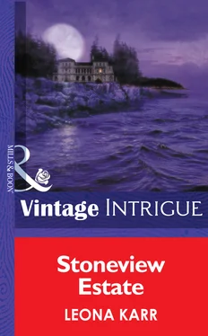 Leona Karr Stoneview Estate обложка книги