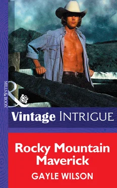 Gayle Wilson Rocky Mountain Maverick обложка книги