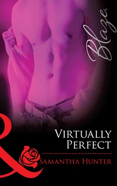 Samantha Hunter Virtually Perfect обложка книги