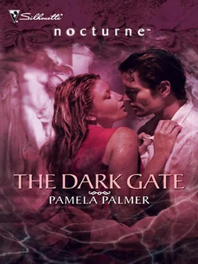 Pamela Palmer The Dark Gate обложка книги