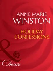 Anne Winston - Holiday Confessions