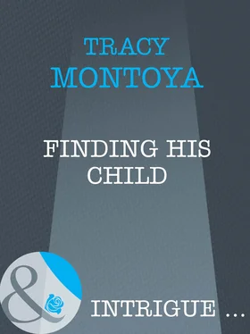 Tracy Montoya Finding His Child обложка книги