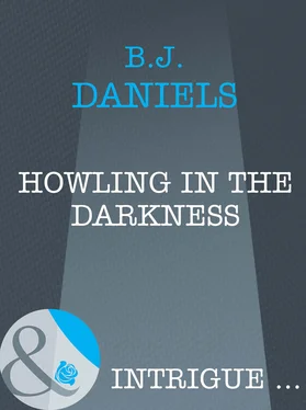 B.J. Daniels Howling In The Darkness обложка книги