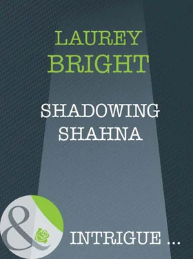 Laurey Bright Shadowing Shahna обложка книги