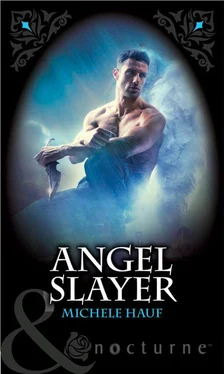 Michele Hauf Angel Slayer обложка книги