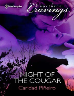 Caridad Piñeiro Night of the Cougar обложка книги