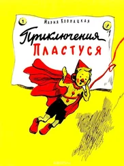 Мария Ковнацкая - Приключения Пластуся