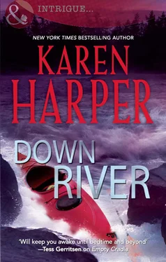 Karen Harper Down River обложка книги