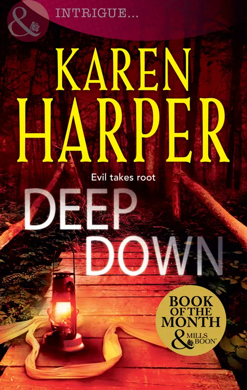 Praise for the novels of New York Times bestselling author Karen Harper Will - фото 1
