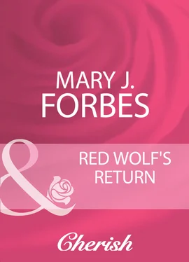 Mary J. Red Wolf's Return обложка книги