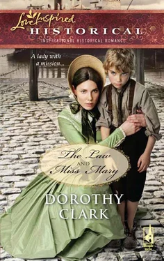 Dorothy Clark The Law and Miss Mary обложка книги