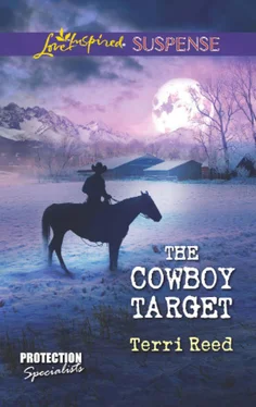 Terri Reed The Cowboy Target обложка книги