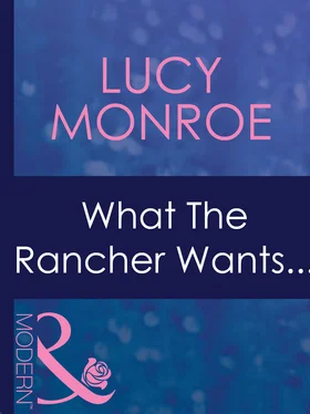 Lucy Monroe What The Rancher Wants... обложка книги