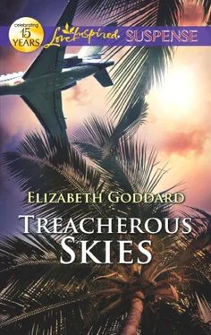 Elizabeth Goddard Treacherous Skies обложка книги