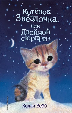 Холли Вебб Котенок Звездочка, или Двойной сюрприз обложка книги