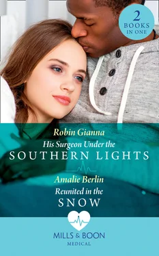 Amalie Berlin His Surgeon Under The Southern Lights / Reunited In The Snow обложка книги