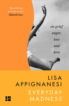 Lisa Appignanesi Everyday Madness обложка книги