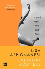 Lisa Appignanesi - Everyday Madness