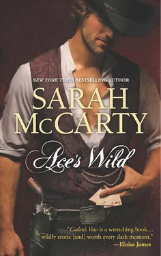 Sarah McCarty Ace's Wild обложка книги