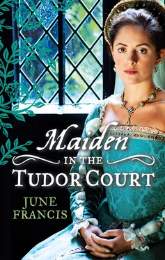 June Francis MAIDEN in the Tudor Court обложка книги