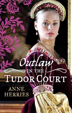 Anne Herries OUTLAW in the Tudor Court обложка книги