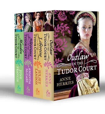 Amanda McCabe In the Tudor Court Collection обложка книги