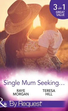 Raye Morgan Single Mum Seeking... обложка книги