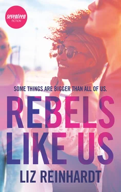 Liz Reinhardt Rebels Like Us обложка книги