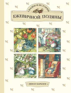 Джилл Барклем Сказки и истории Ежевичной поляны (сборник) обложка книги