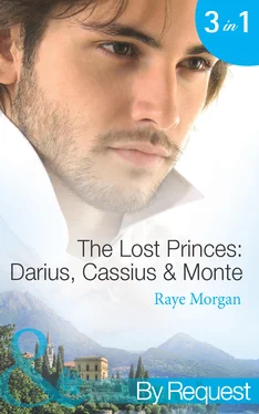 Raye Morgan The Lost Princes: Darius, Cassius and Monte обложка книги