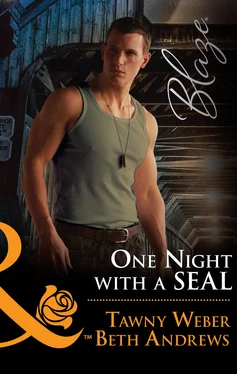 Tawny Weber One Night With A Seal обложка книги