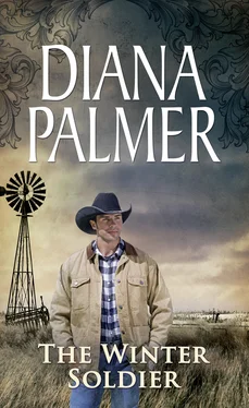 Diana Palmer The Winter Soldier обложка книги
