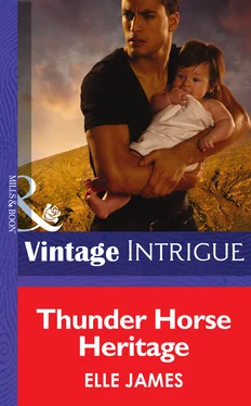 Elle James Thunder Horse Heritage обложка книги