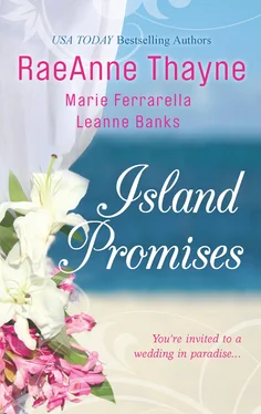 Leanne Banks Island Promises обложка книги