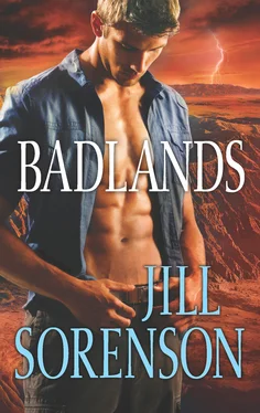 Jill Sorenson Badlands обложка книги