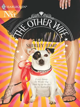 Shirley Jump The Other Wife обложка книги