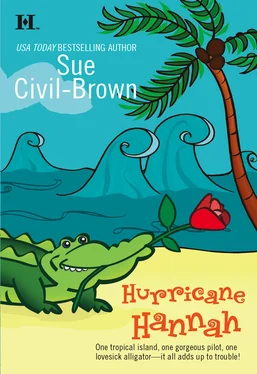 Sue Civil-Brown Hurricane Hannah обложка книги