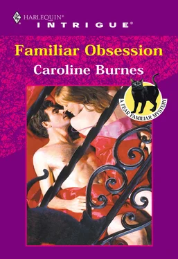 Caroline Burnes Familiar Obsession обложка книги