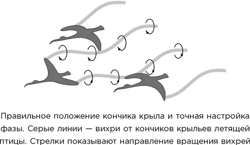 На первый взгляд эта методика позволяет не только клиновидное построение в - фото 35