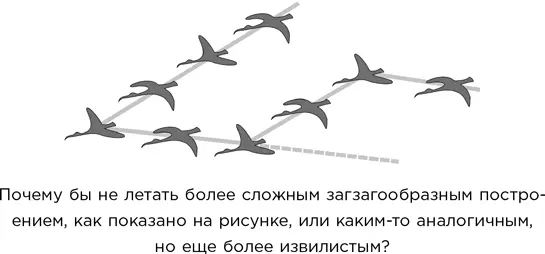 В экспериментах с ибисами молодым птицам требовалось немало времени чтобы - фото 36