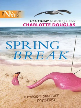 Charlotte Douglas Spring Break обложка книги