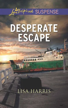 Lisa Harris Desperate Escape обложка книги