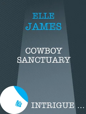 Elle James Cowboy Sanctuary обложка книги