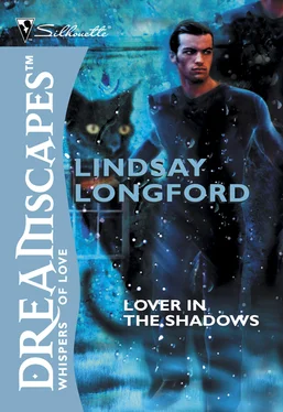 Lindsay Longford Lover In The Shadows обложка книги