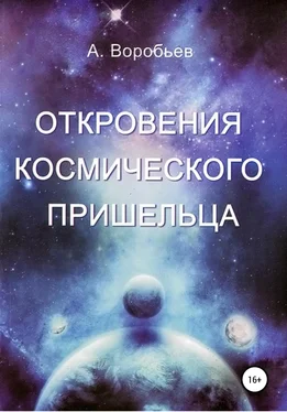 Александр Воробьёв Откровение космического пришельца обложка книги
