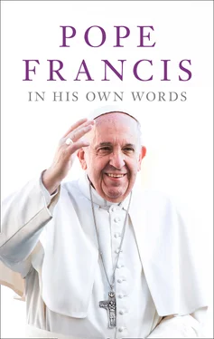 Lisa Rogak Pope Francis in his Own Words обложка книги