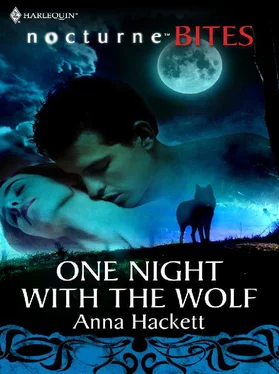 Anna Hackett One Night with the Wolf обложка книги