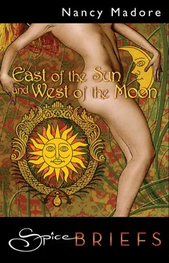 Nancy Madore East Of The Sun And West Of The Moon обложка книги