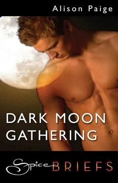 Alison Paige Dark Moon Gathering обложка книги